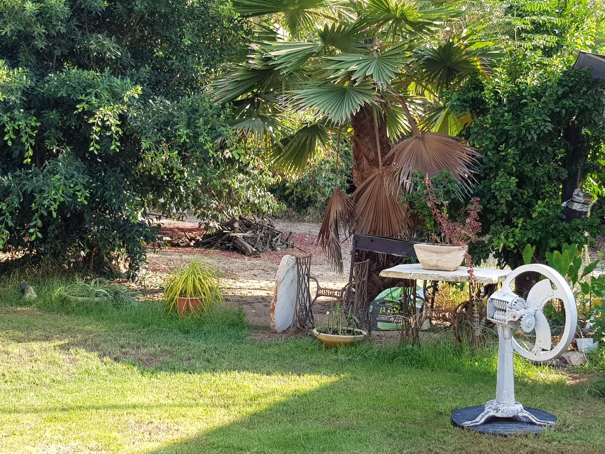 A Pastoral B & B Giv'at Ada Bagian luar foto